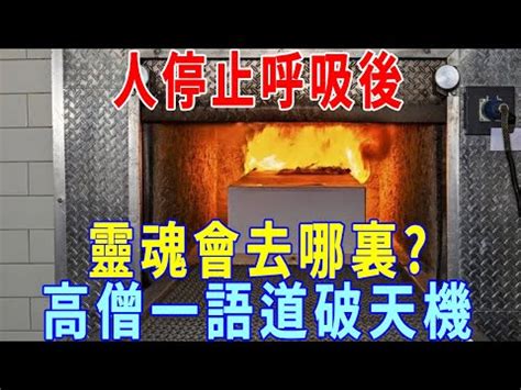 總經理辦公桌 火化過程是否靈魂已跑走